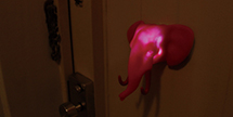 Animal Door Light
