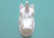 Unicorn Door Light