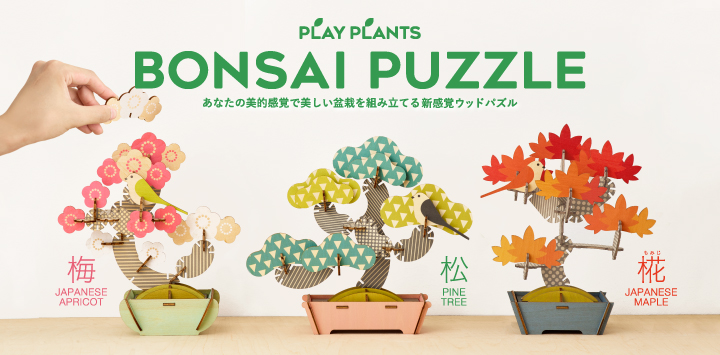 PLAY PLANTS BONSAI PUZZLE PINE TREE