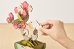 PLAY PLANTS BONSAI PUZZLE