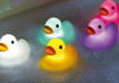 Duck Bath Light