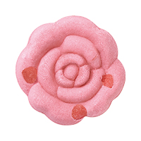 Petal in Bath Fizz Rose