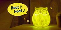 Owl Night Light