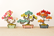 PLAY PLANTS BONSAI PUZZLE