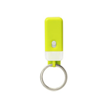 Clip Key Light Green